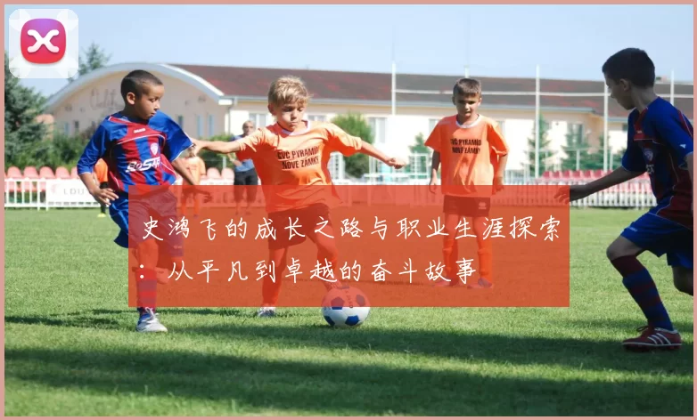 史鸿飞的成长之路与职业生涯探索：从平凡到卓越的奋斗故事