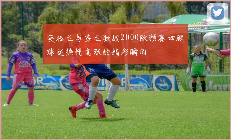 英格兰与芬兰激战2000欧预赛回顾球迷热情高涨的精彩瞬间